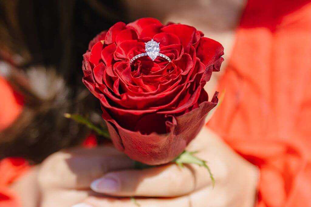engagement ring reveal moment idea