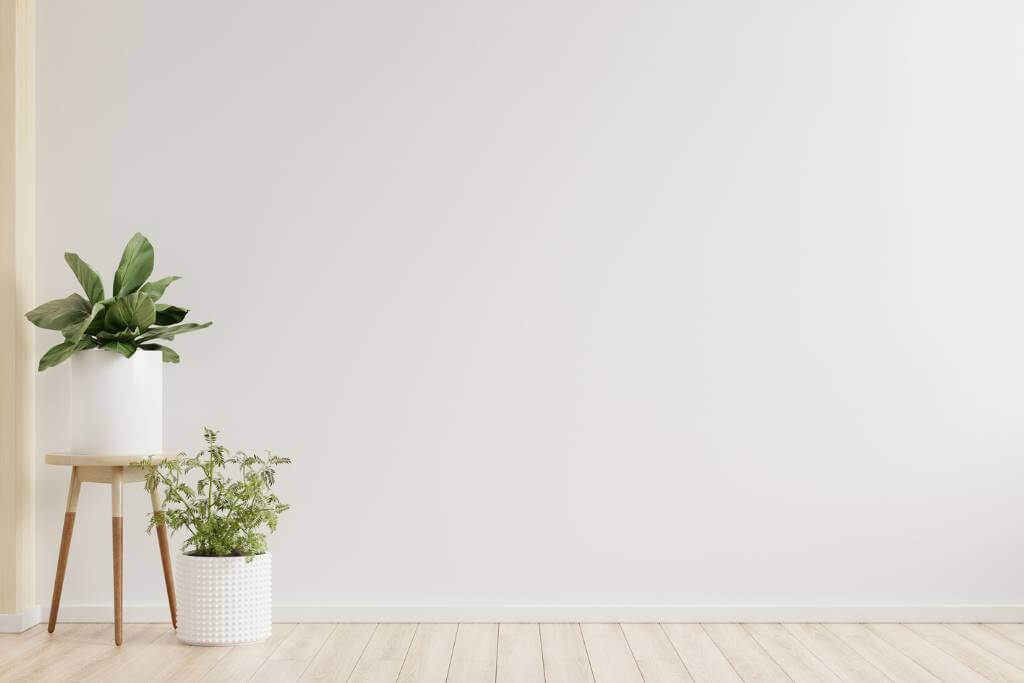 Minimal home proposal setup