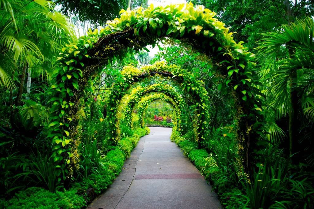 botanical garden proposal spot