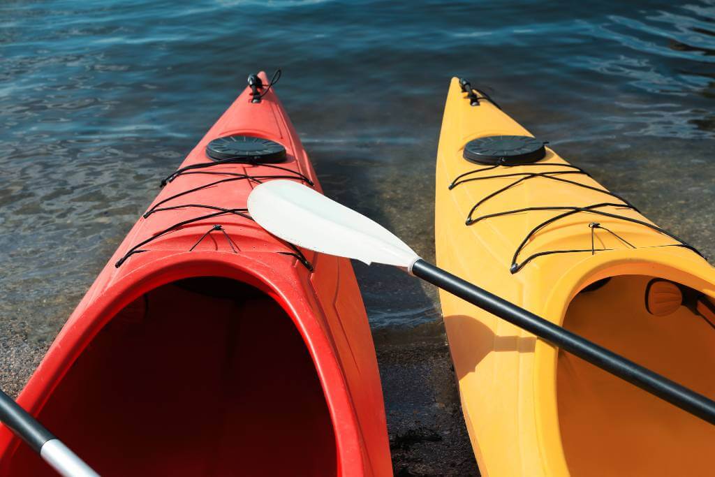 paddle boat proposal idea