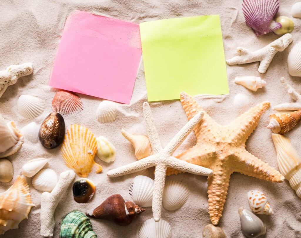 seashell note proposal ideas