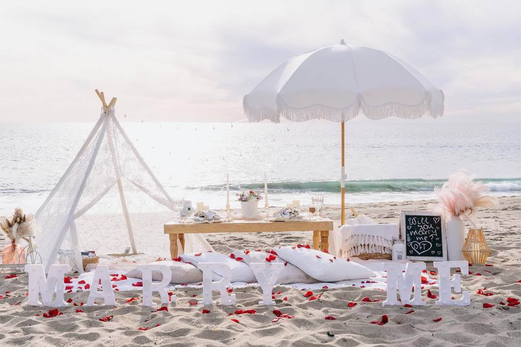 luxury picnic proposal setup