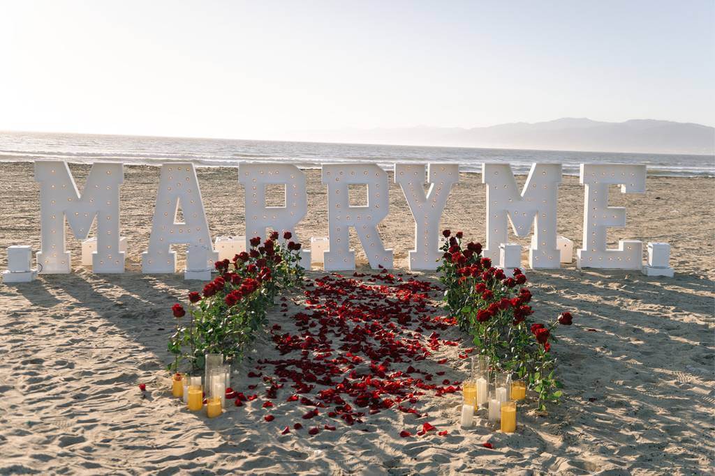 marry me picnic proposal