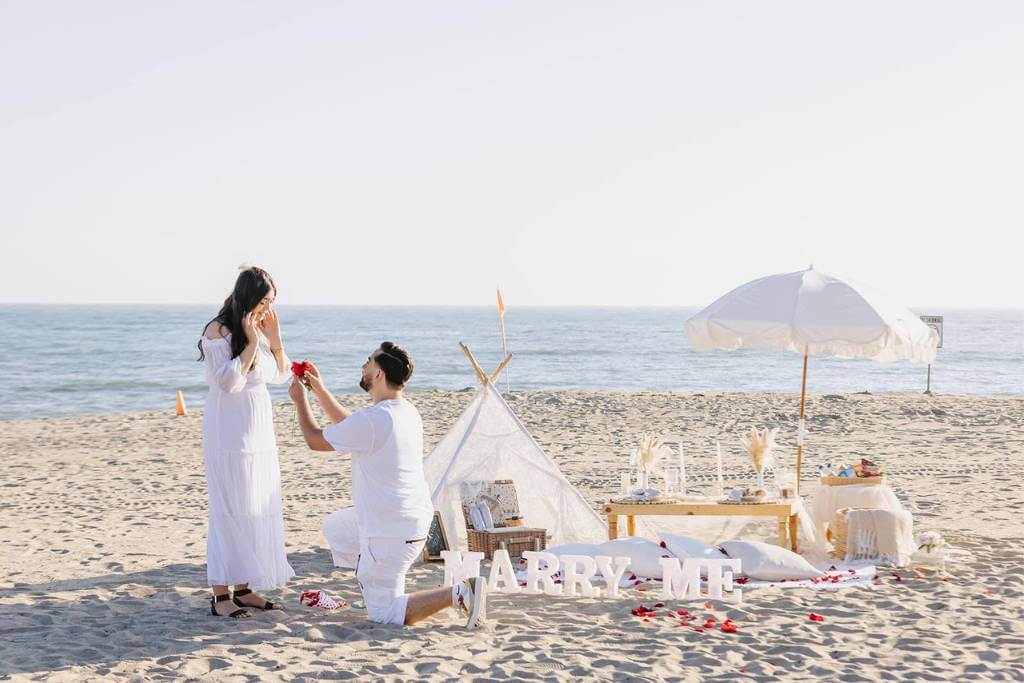 oceanfront picnic proposal
