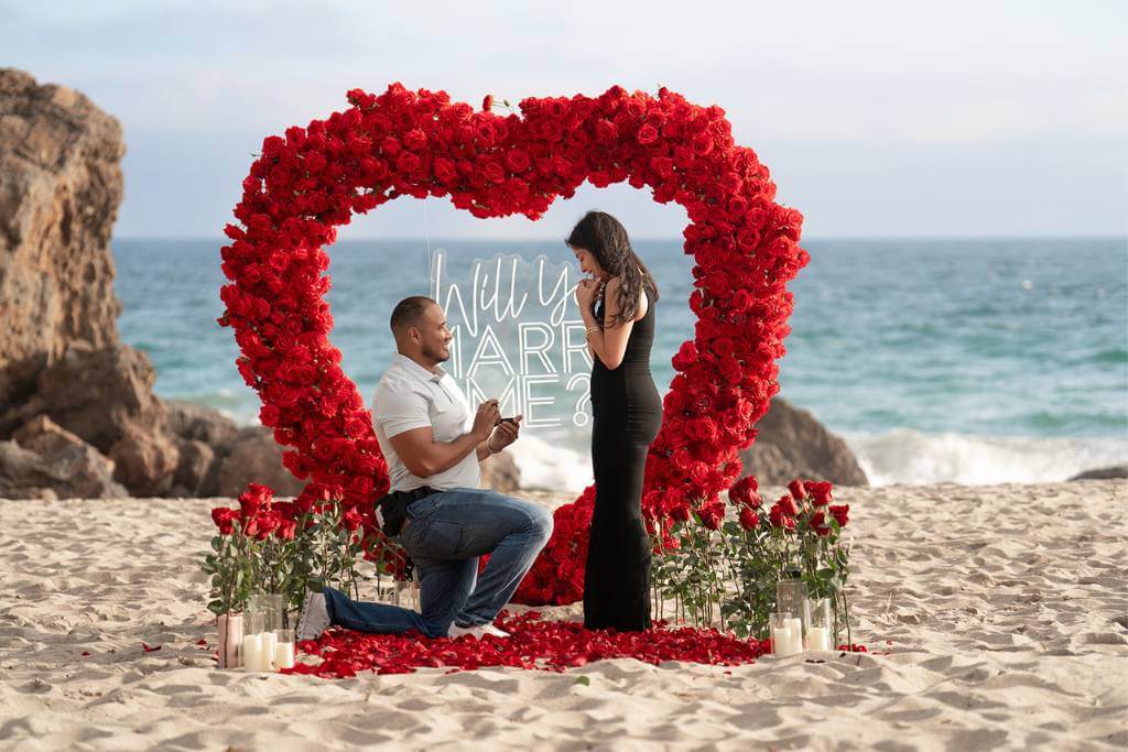 red rose heart picnic proposal