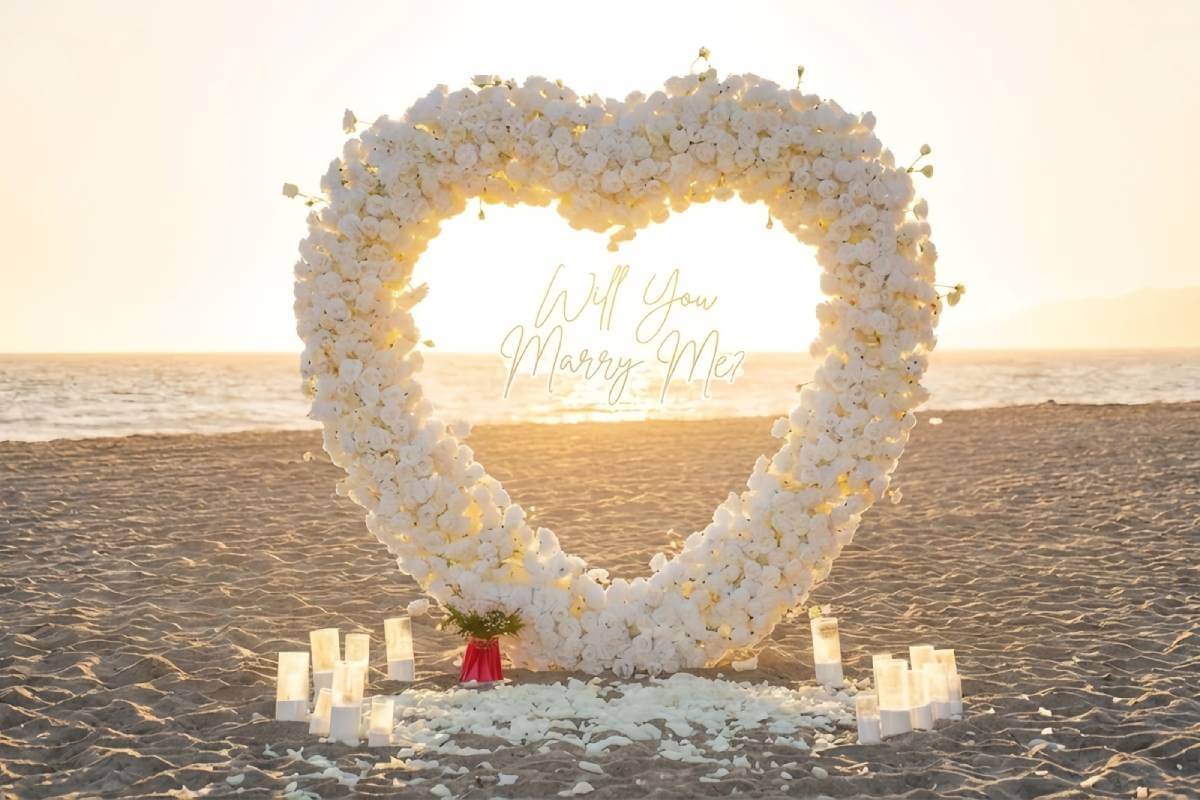 Budget-friendly proposal setup services