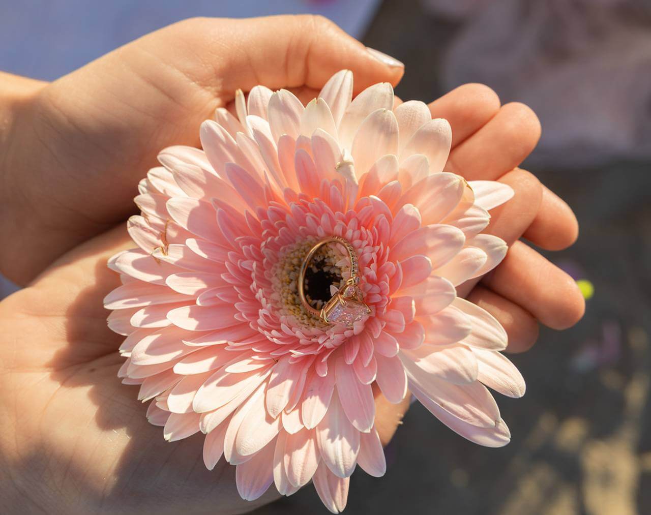 engagement ring on pink flower