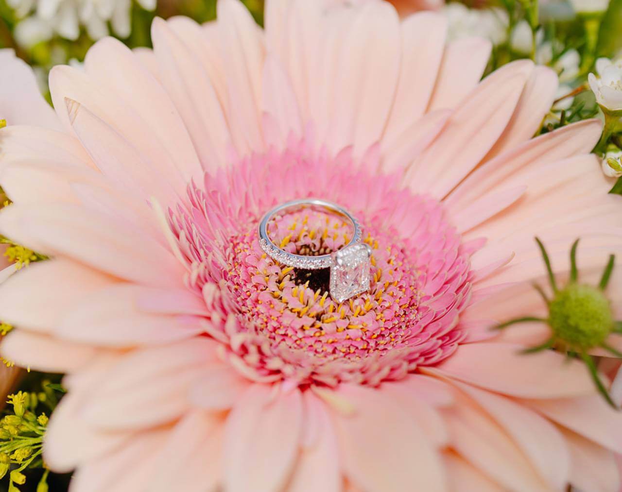 ring on pink flower